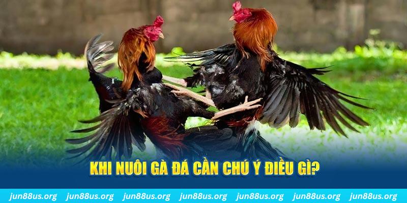 twin68 casino ĐĂNG NHẬP