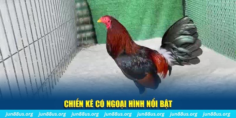 sunwin ngo sòng bạc kèo nhà cái